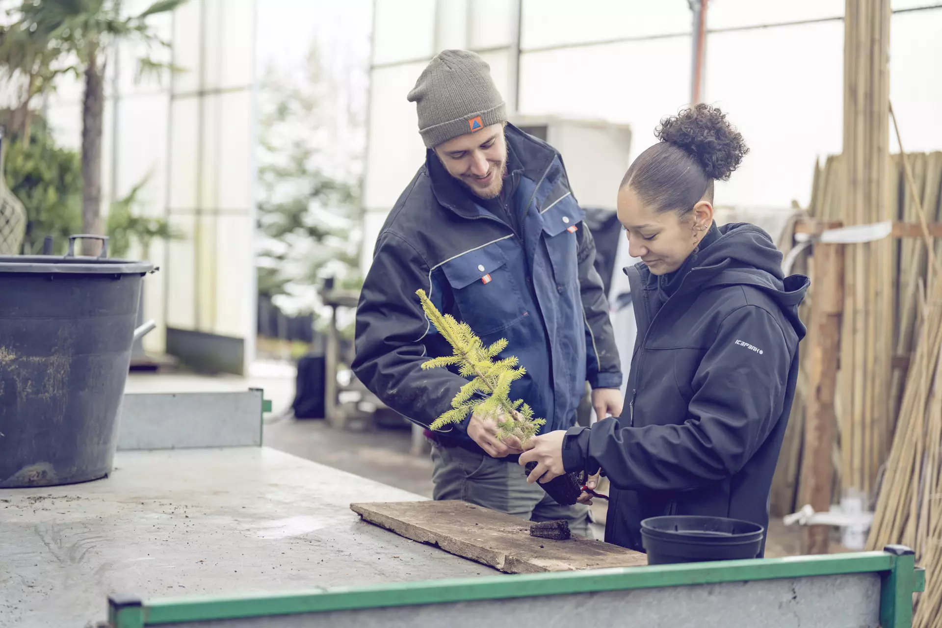 Apprentie paysagiste avec son formateur repoter un arbre