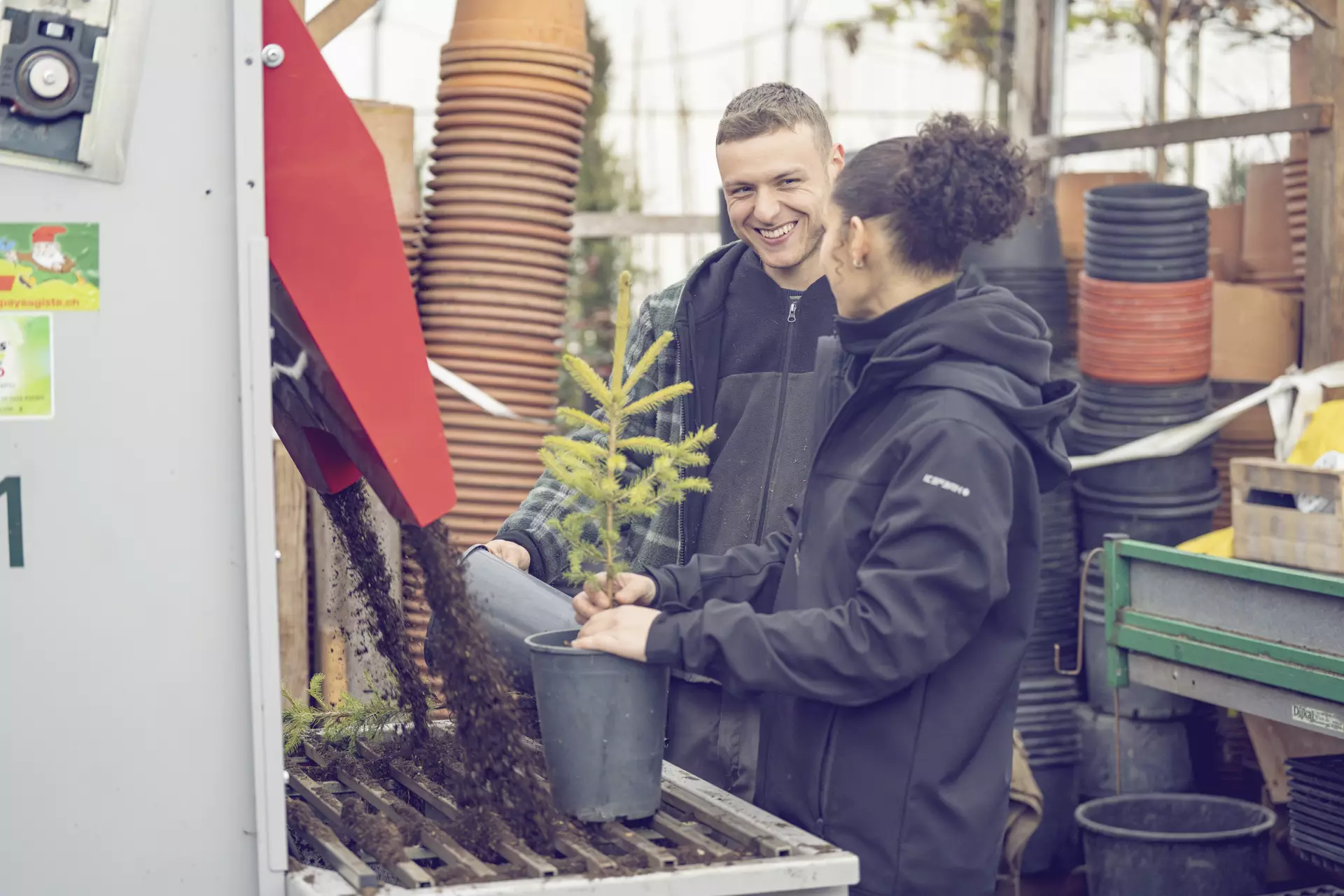 Apprentie paysagiste avec son formateur en train de repoter un arbre
